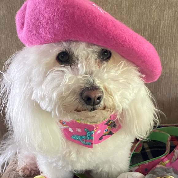 Offers & Bundles - Picture 4 of 9